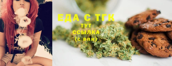 Альфа ПВП Горняк