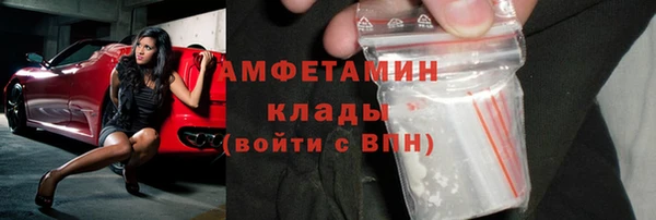 Альфа ПВП Горняк