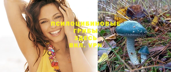 мдма Горнозаводск
